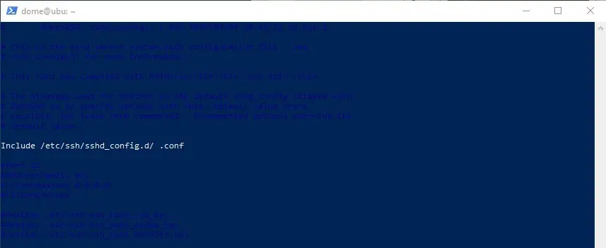 Powershell VIM