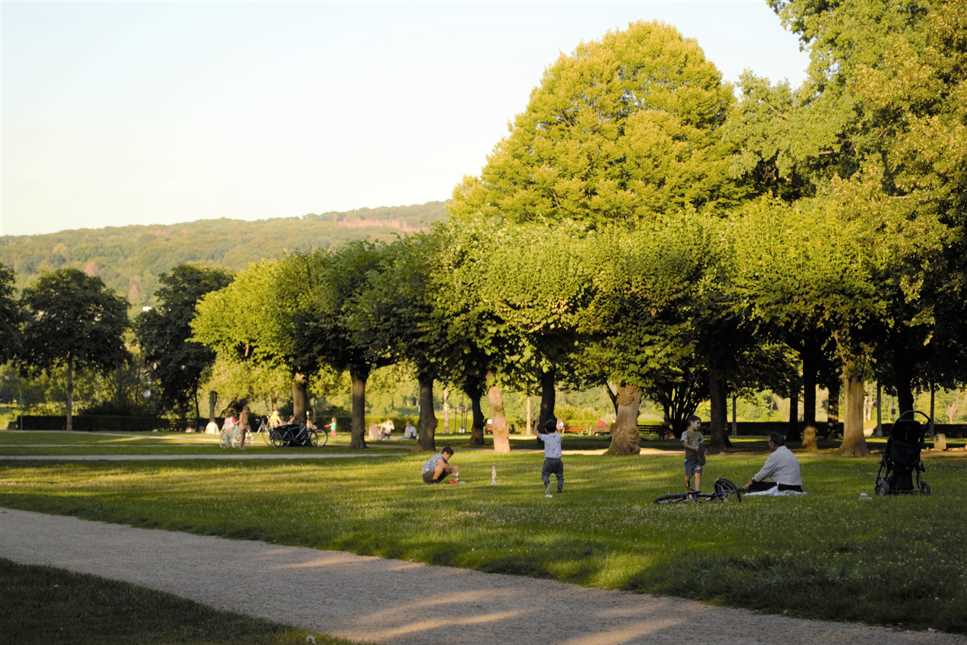 Green Bonn Green Bonn